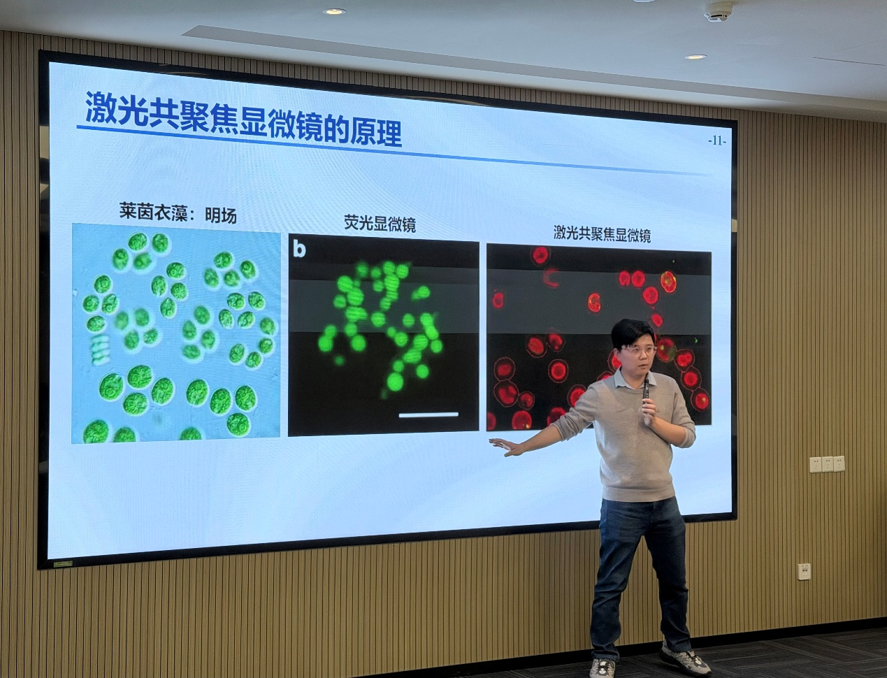 图片 1.png