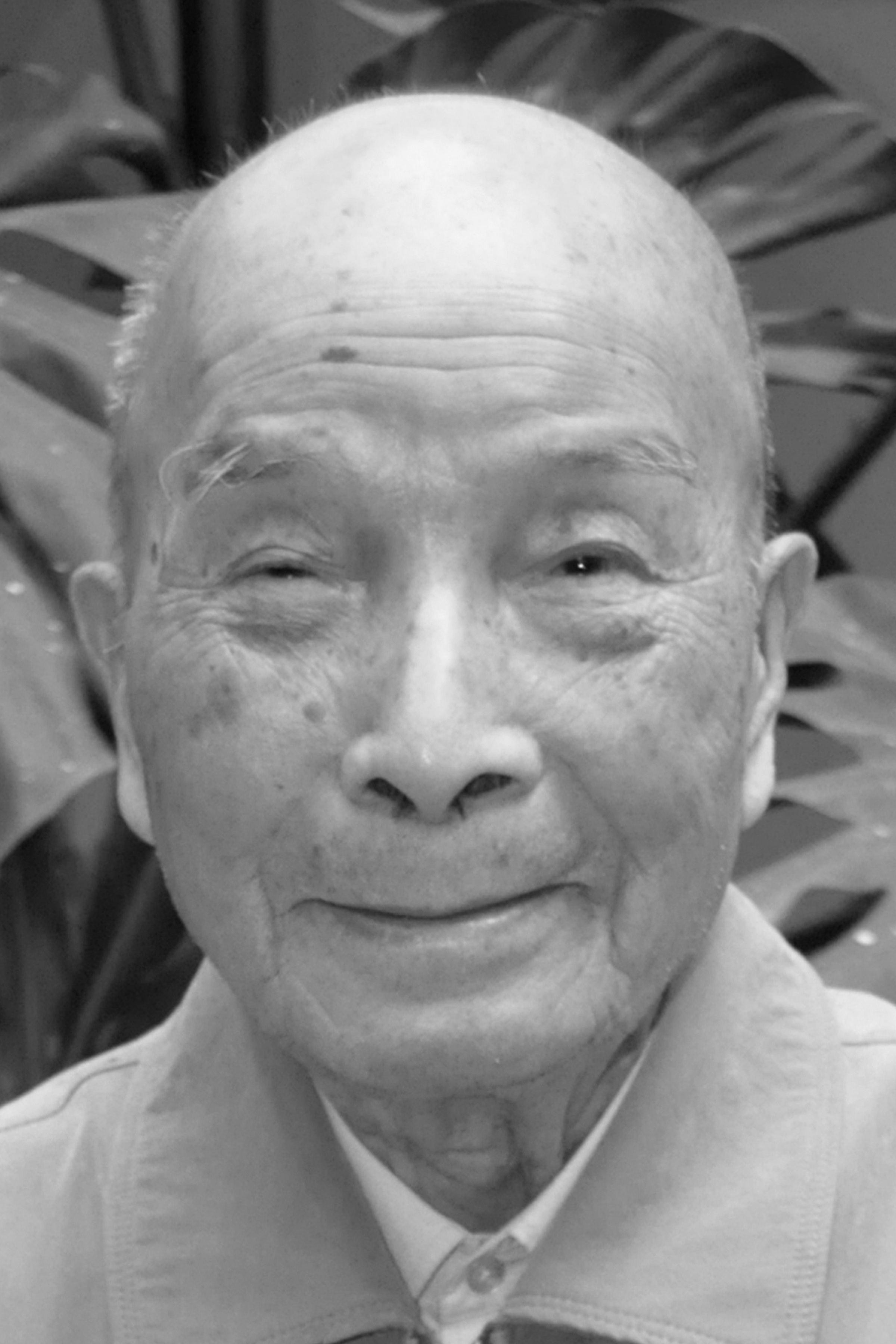 王洪星教授,男,汉族,1915年11月出生,湖南衡山人,享受政府特殊津贴.